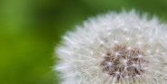 La via all'investimento è sostenibile
